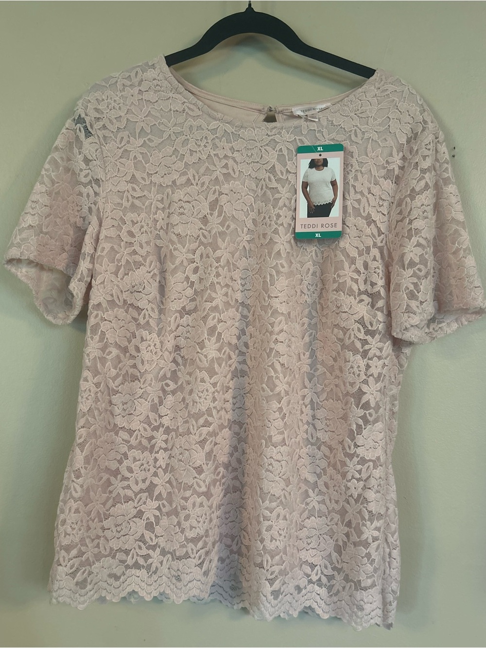 Teddi Rose Lace Short Sleeve Blouse in Light Pink